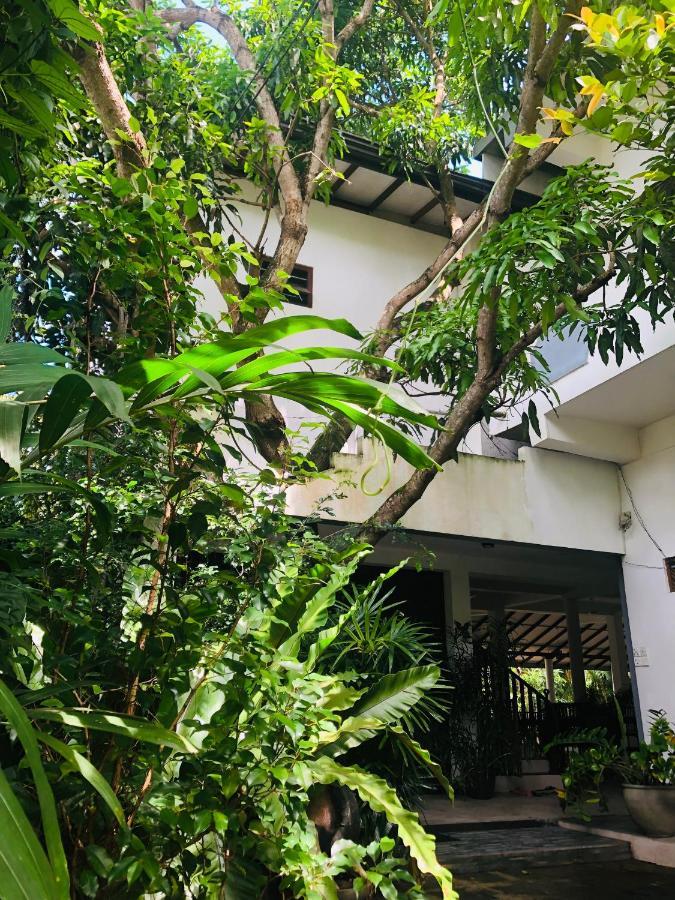 Tinara River Inn, Weligama Dış mekan fotoğraf