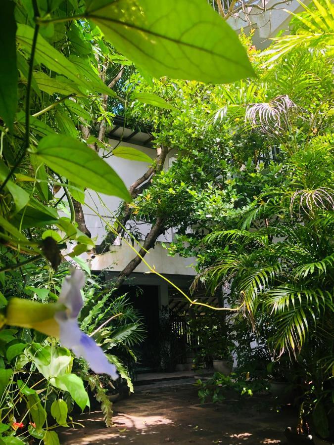Tinara River Inn, Weligama Dış mekan fotoğraf
