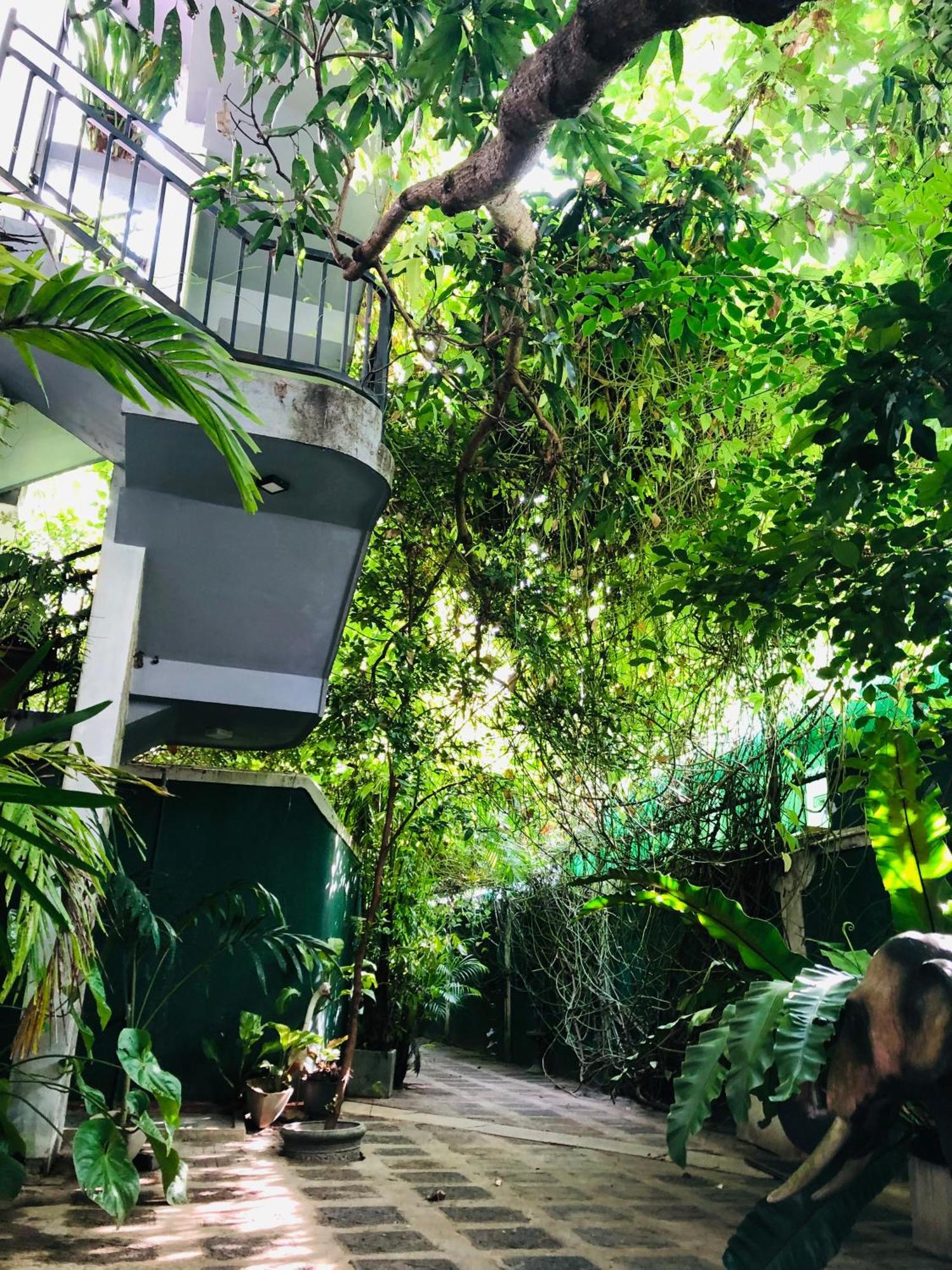 Tinara River Inn, Weligama Dış mekan fotoğraf