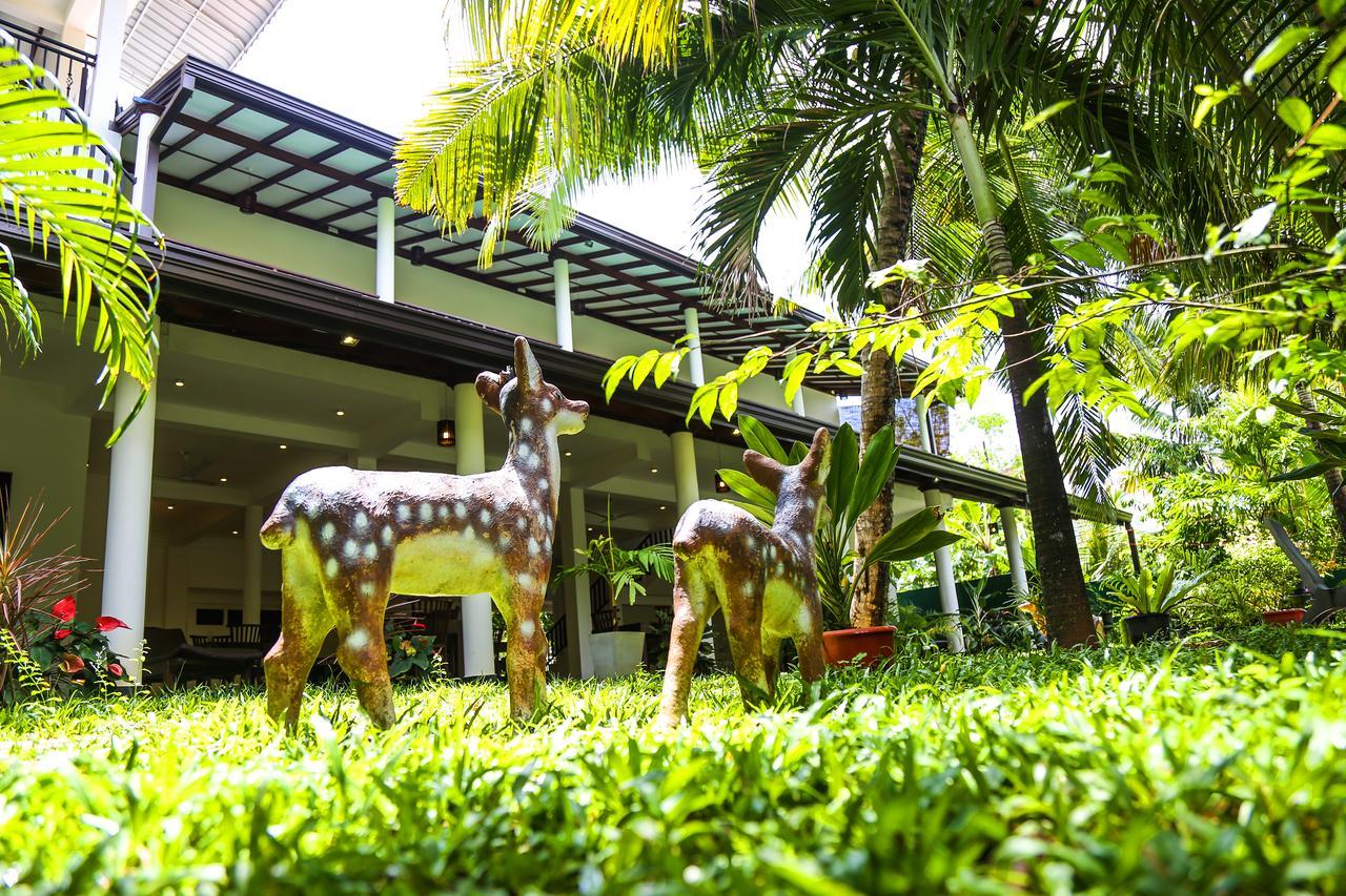 Tinara River Inn, Weligama Dış mekan fotoğraf