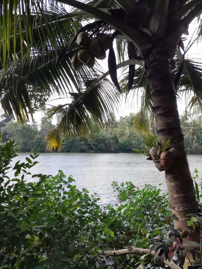 Tinara River Inn, Weligama Dış mekan fotoğraf