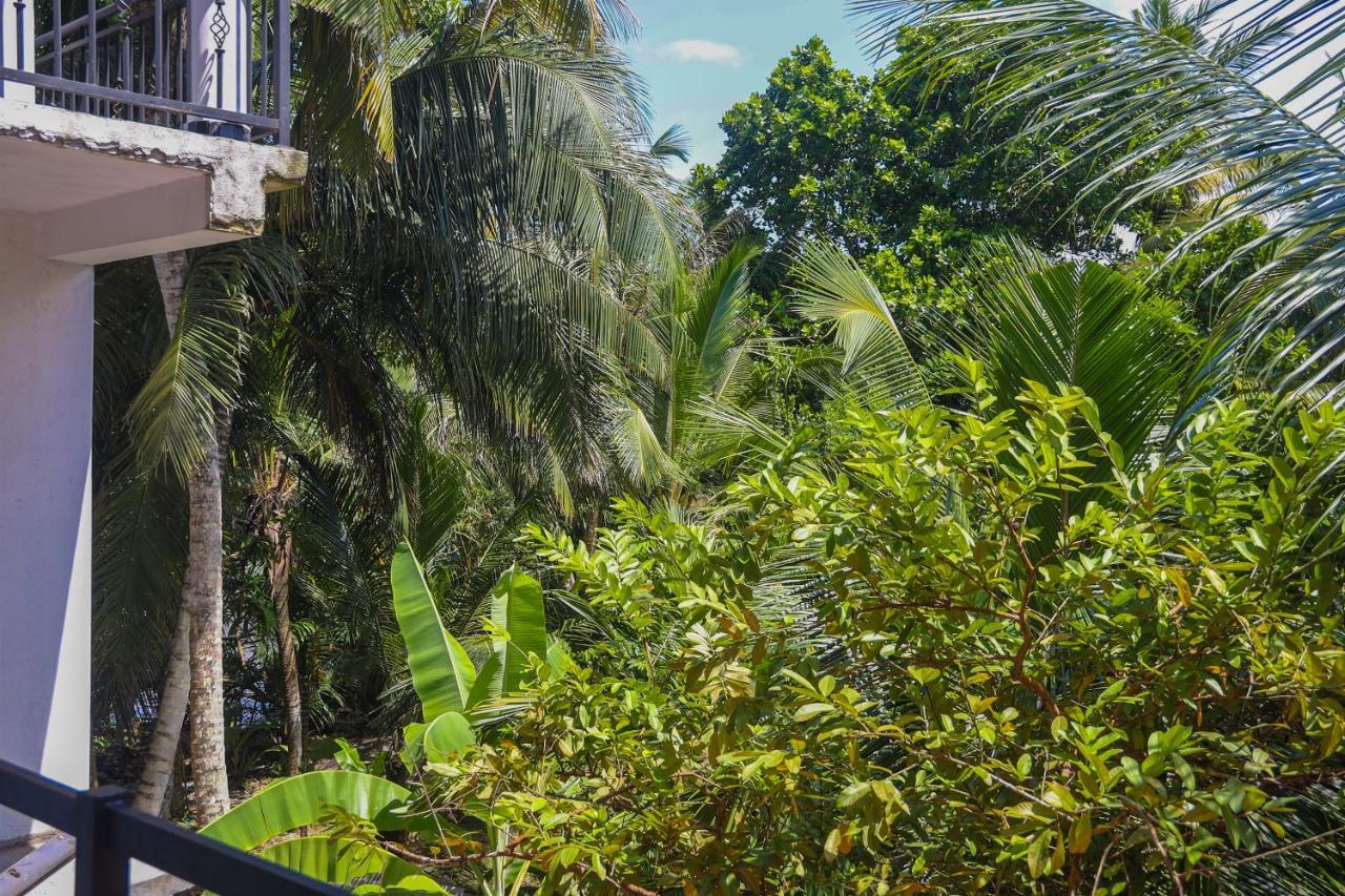 Tinara River Inn, Weligama Dış mekan fotoğraf