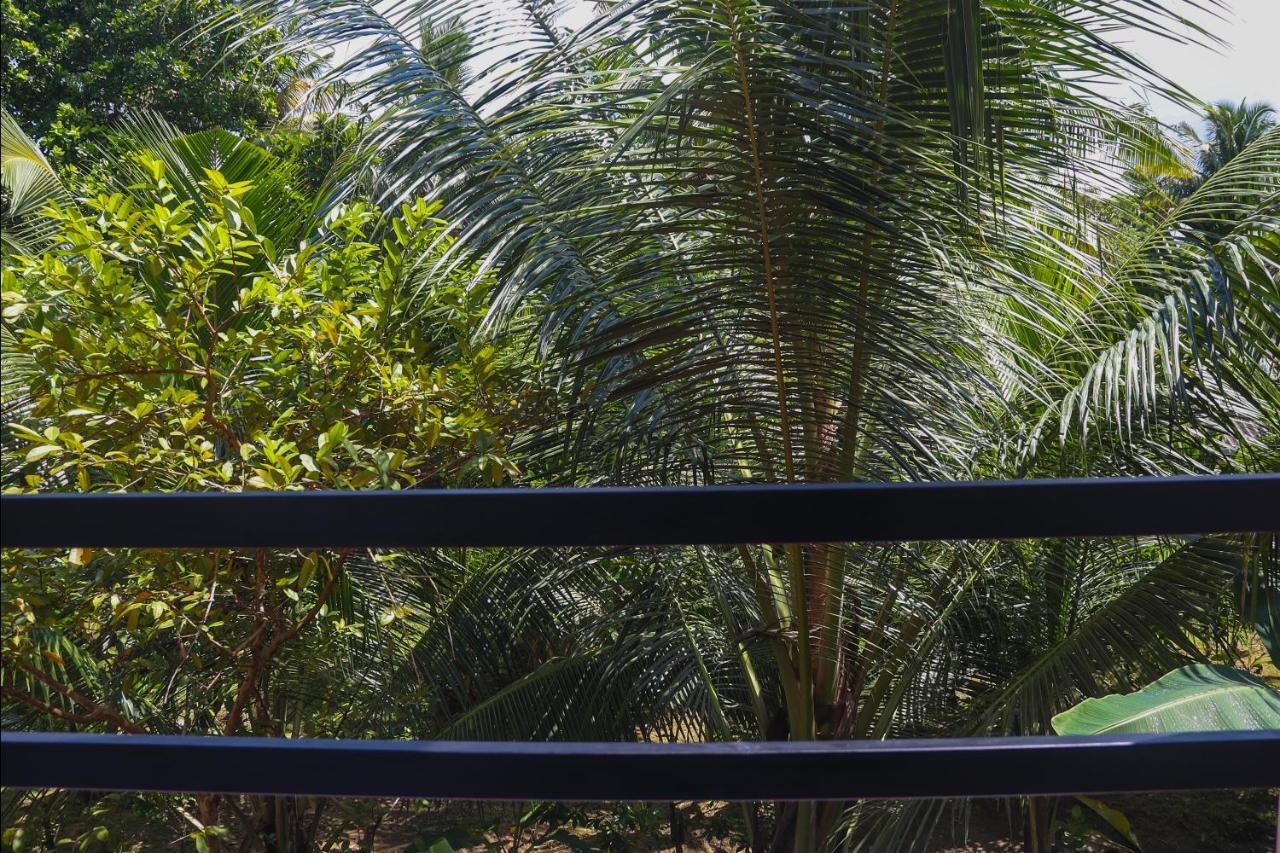 Tinara River Inn, Weligama Dış mekan fotoğraf